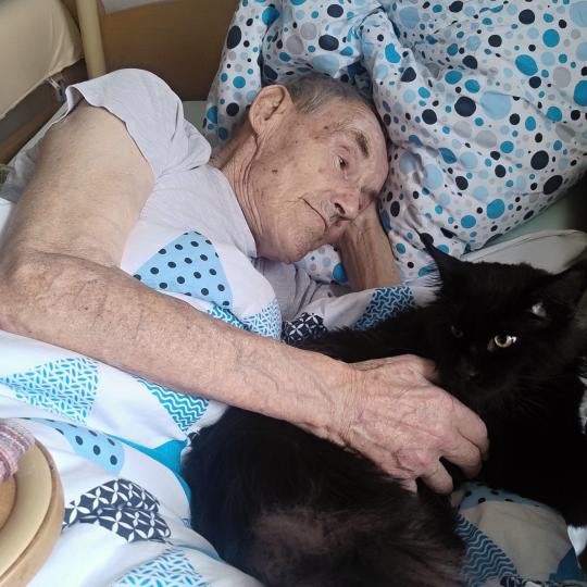 494358525_514344968281868_6048637763779399695_n