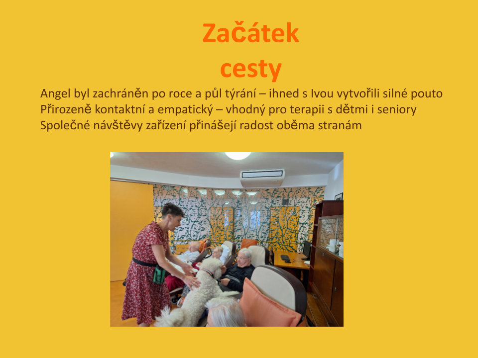 Canisterapie_DSPH_prezentace.pptx (4)