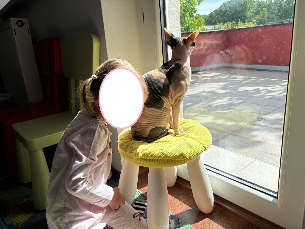 IMG-20250520-WA0085