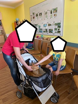 280368488_416423900015357_4917742956647071396_n