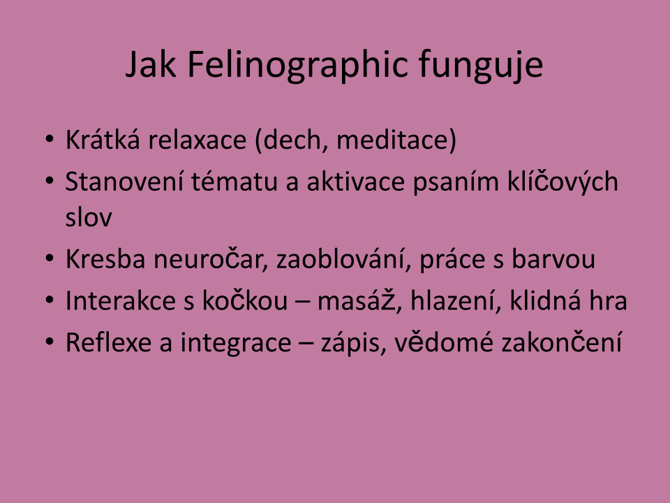 Felinographic_prezentace.pptx (3)