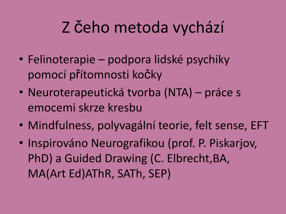 Felinographic_prezentace.pptx (4)