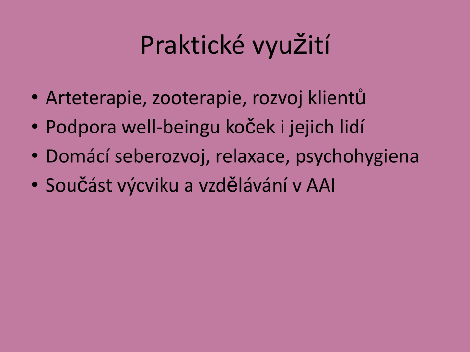 Felinographic_prezentace.pptx (6)