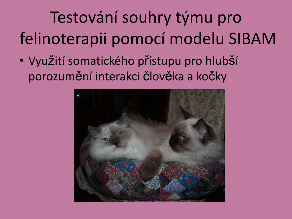 SIBAM_felinoterapie_prezentace.pptx