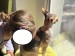 IMG-20250520-WA0075