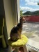 IMG-20250520-WA0099