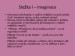 SIBAM_felinoterapie_prezentace.pptx (4)