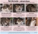 ChatGPT Image 7. 9. 2026 11_44_31